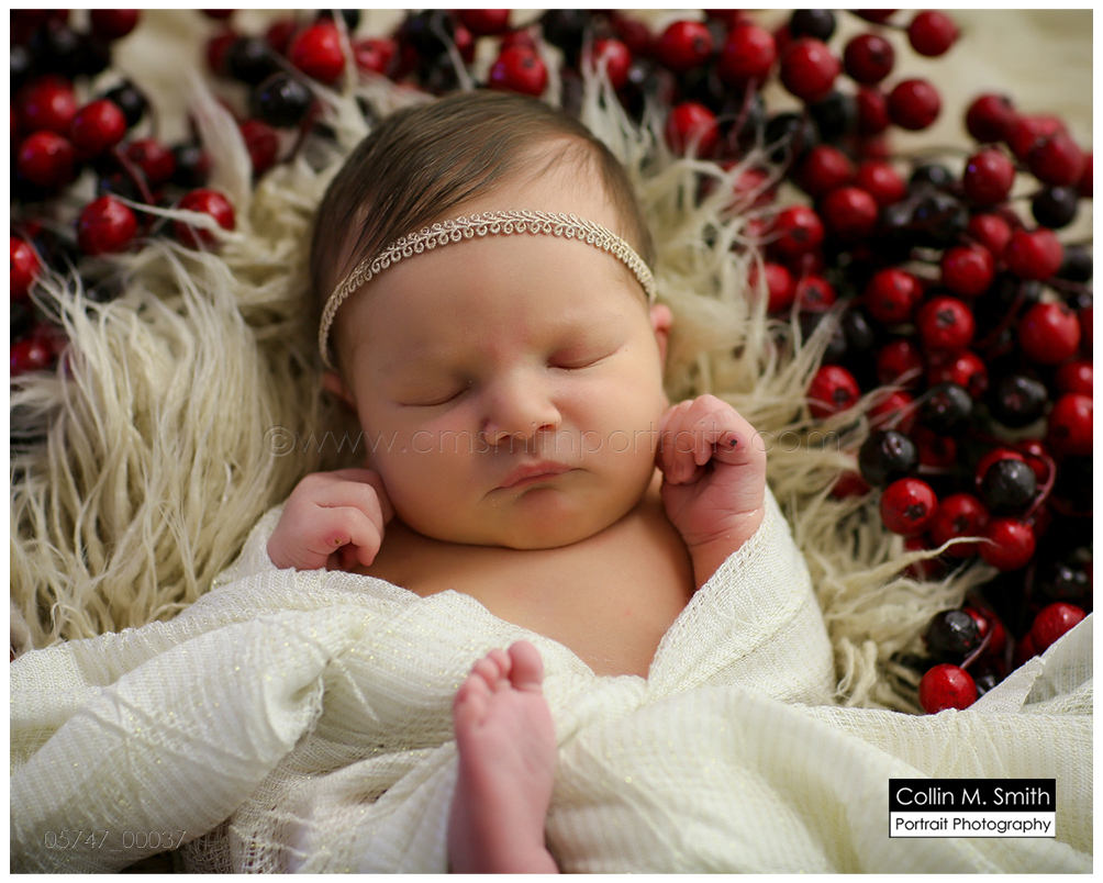 © Collin M. Smith Portrait Photography www.cmsmithportraits.com/blog